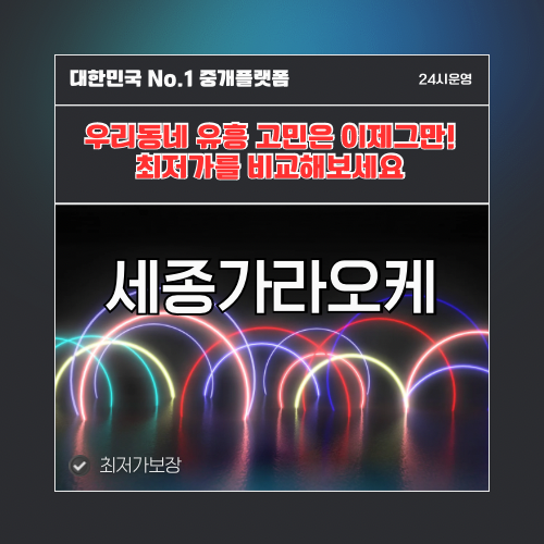 세종가라오케 · 세종노래방 · 세종유흥주점