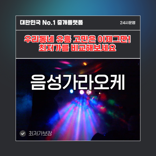 음성가라오케 · 음성노래방 · 음성유흥주점