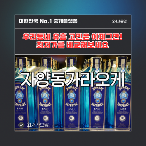 자양동가라오케 · 자양동노래방 · 자양동유흥주점