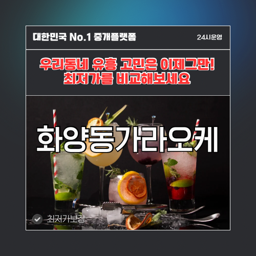 화양동가라오케 · 화양동노래방 · 화양동유흥주점